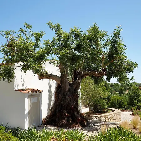 Fora Family Friendly, Design-led Countryside Houses, Pool & Outdoor Kitchen, 25 Min Faro & Beaches Estoi